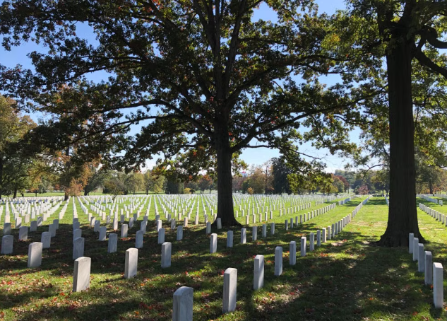 Berkeley Heights Teen Restores Forgotten Revolutionary War Cemetery for Gold Award