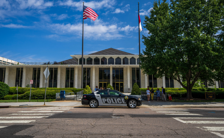 Appellate Court Upholds Termination of Roselle Police Chief