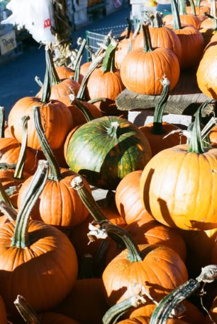 G. DeLuca & Sons Fall Fest Draws Families to Berkeley Heights