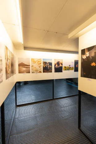 Union County Commissioners Gallery in Elizabeth Showcases Artwork by ACE Students