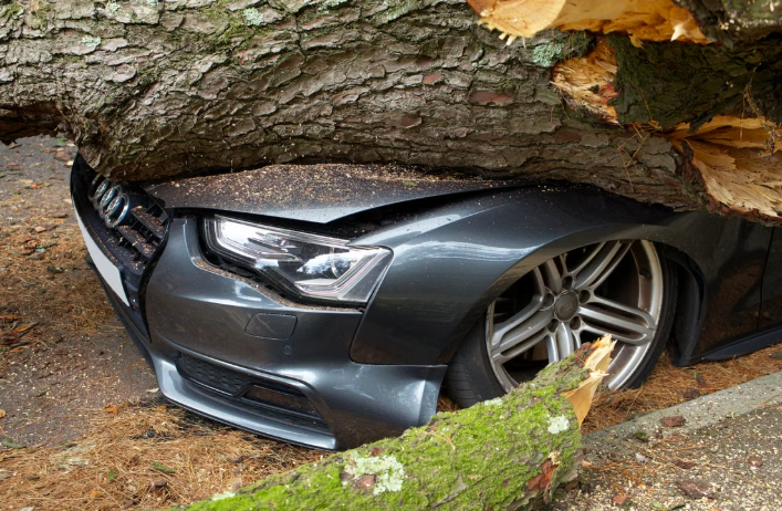 One Killed, One Injured After Tree Branch Strikes Vehicle in Union County
