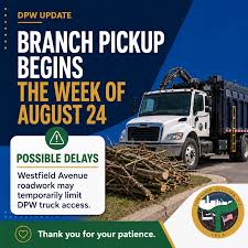 DPW ALERT: Potential Delays to Branch Pickup This Week