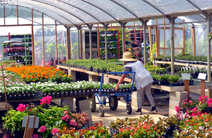 Cranford's Green Thumb Garden Club Celebrates 75 Years of Service