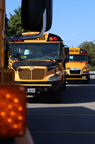 Roselle Park Schools and Borough Honored for Student Safety Efforts