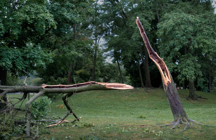 Clark Township Urges Residents to Submit Storm Damage Reports by July 8