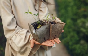 Westfield's Caroline Sahm, 16, Talks Seeds of Change