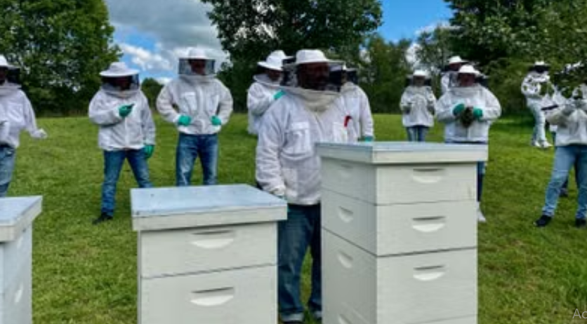 Plainfield YMCA Camp RISE: The Bees Are Resting Inside the Hive Until Next Summer