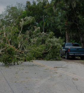 Storm-Related Branch Pickup Begins Wednesday