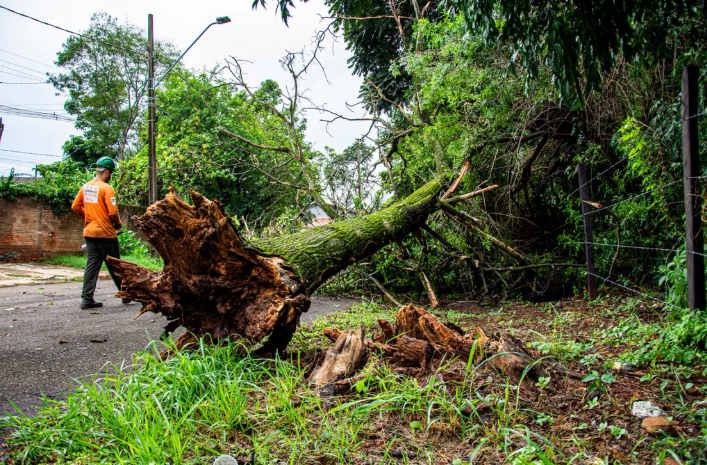 New Providence Announces Road Closures Due to Ongoing Storm Cleanup