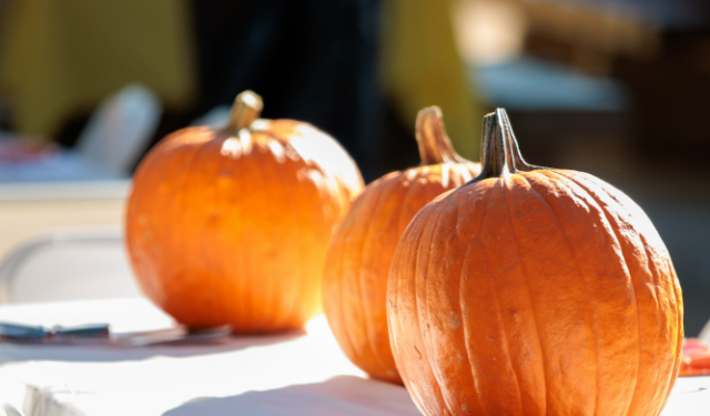 Franklin Elementary Hosts First Annual Fall Festival in Rahway