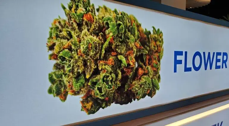 Springfield to Target Intoxicating Hemp Beverage Sales With Proposed 2% Excise Tax Ordinance