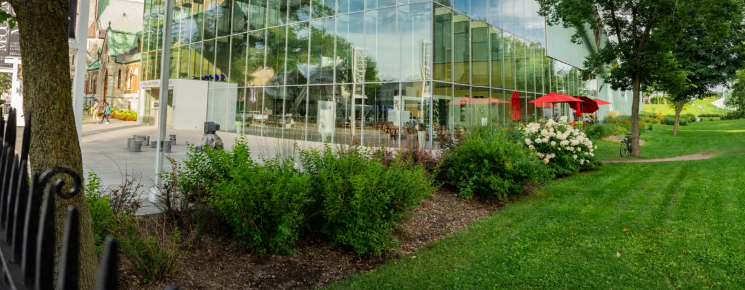 Westfield Week in Review: School Network Restoration, AddamsFest Preparations, and French Bistro Opening