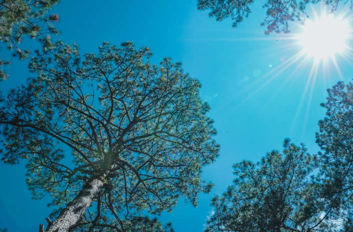 Heat Advisory Issued for Summit Through Wednesday as Temperatures Soar