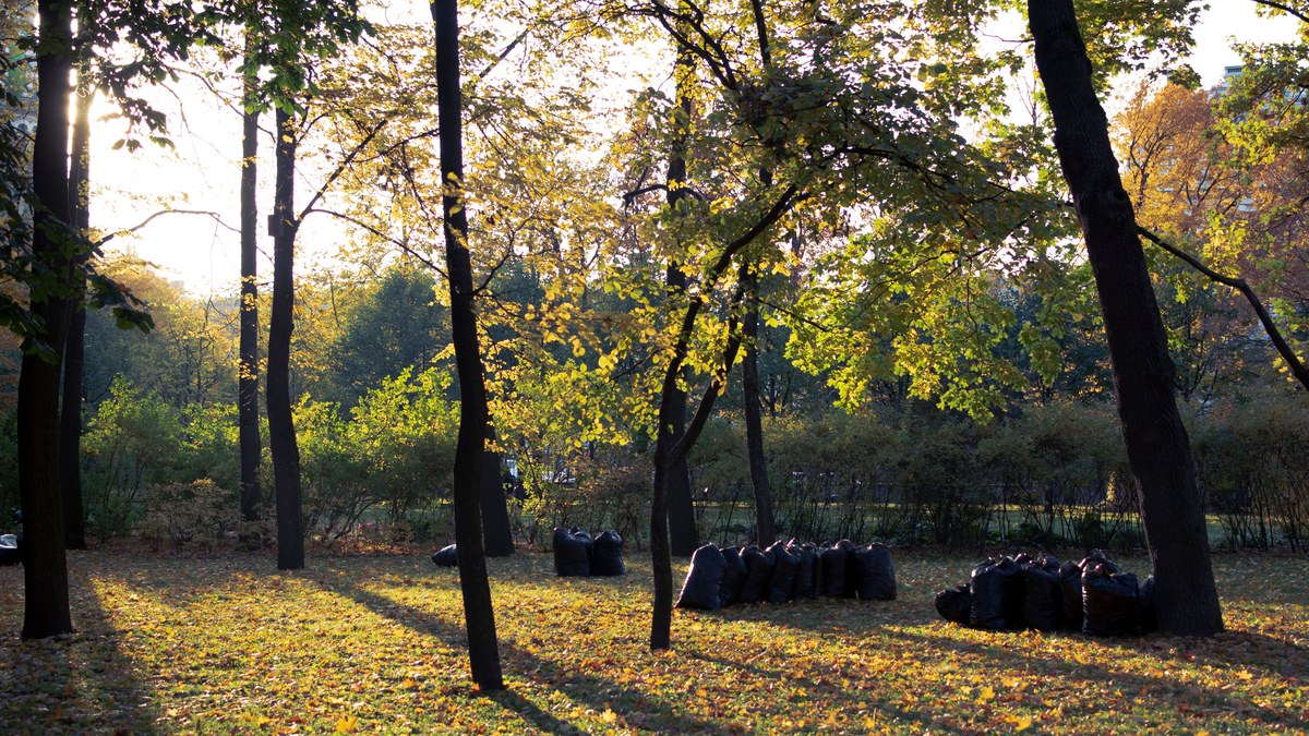 Borough-Wide Fall Cleanup in Roselle Park, NJ — October 2026